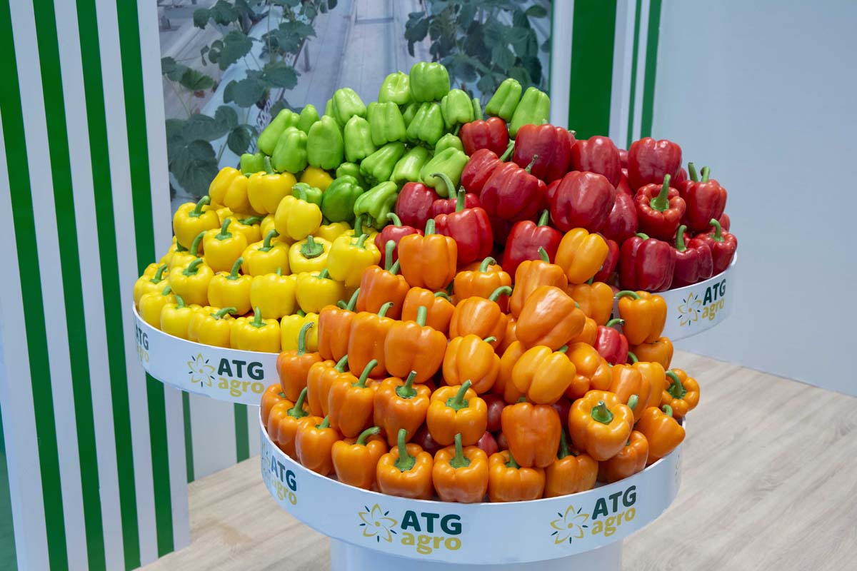 В столице проходит выставка достижений частного сектора национальной экономики