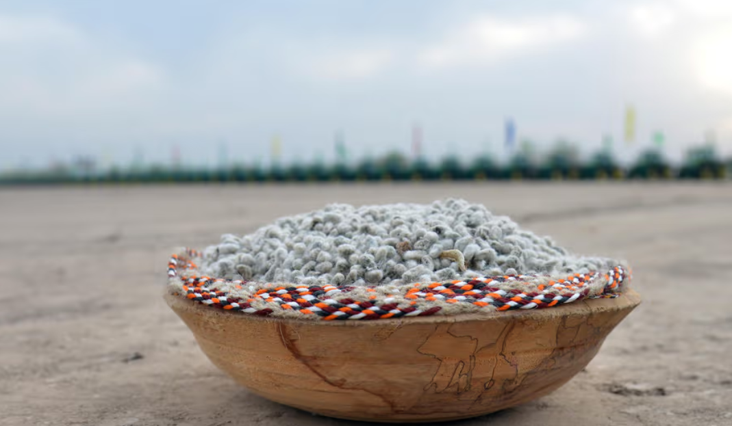 В Туркменистане 25 марта стартует сев хлопчатника