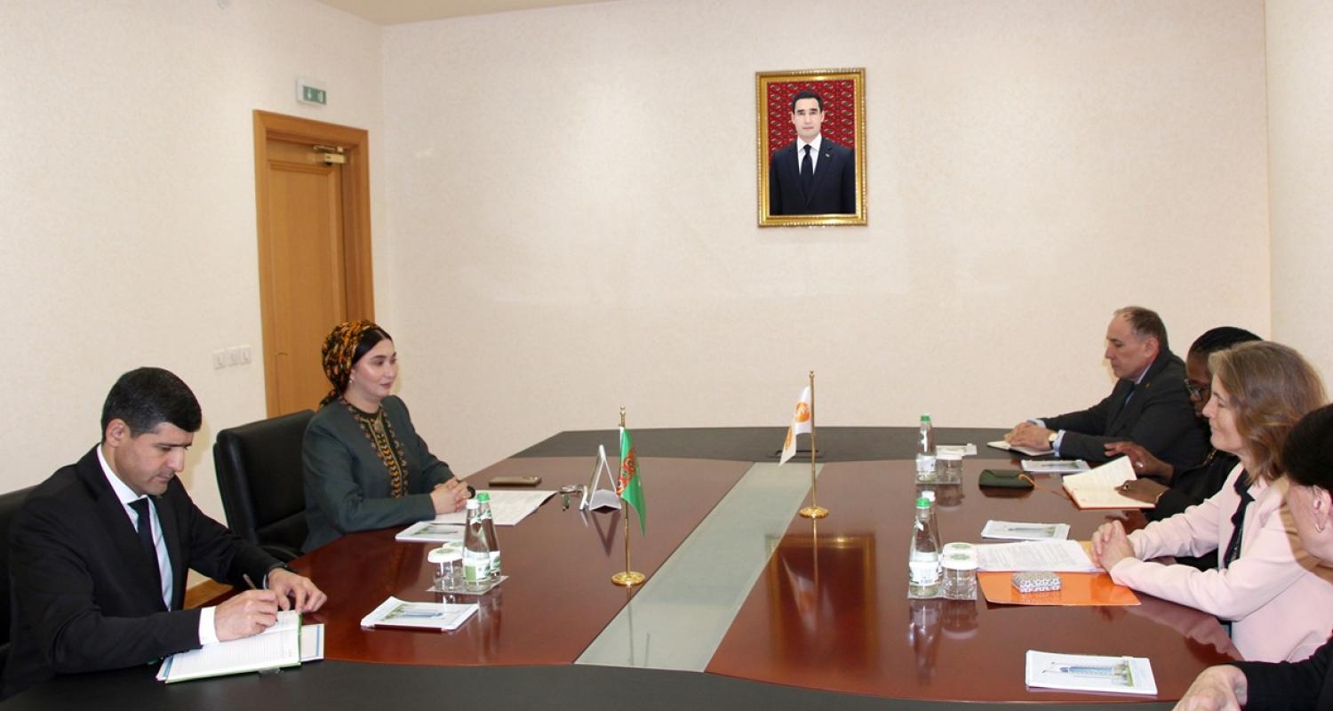 Türkmenistanyň BMG-niň Ilat Gaznasy bilen hyzmatdaşlygynyň geljegi ara alnyp maslahatlaşyldy
