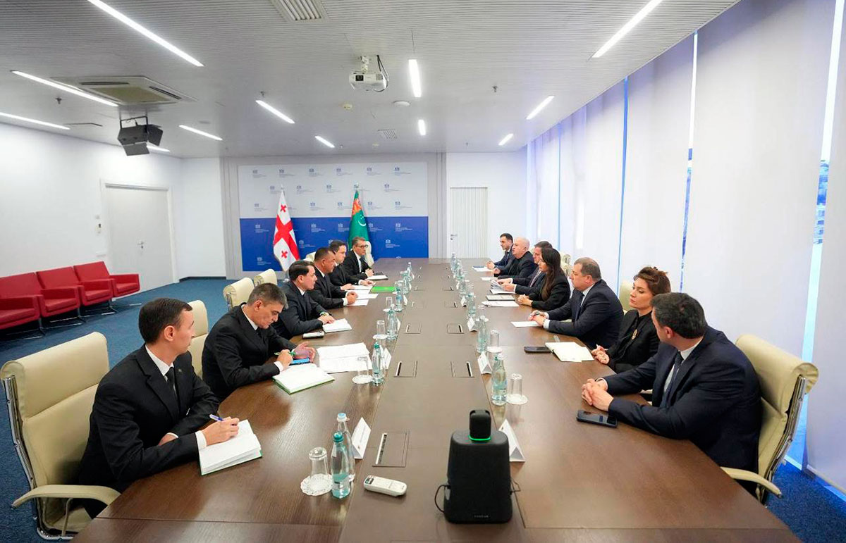 Türkmenistan we Gruziýa söwda-ykdysady hyzmatdaşlygy giňeltmegi maksat edinýärler