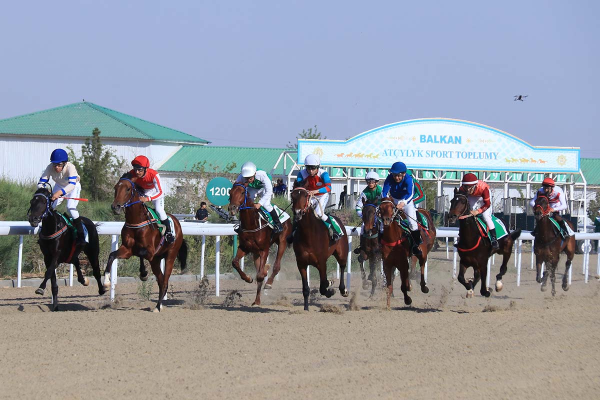 Грация и скорость: состоялись скачки ахалтекинских скакунов