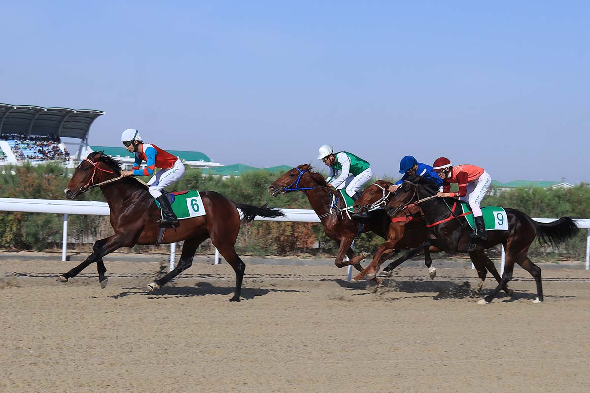 Грация и скорость: состоялись скачки ахалтекинских скакунов