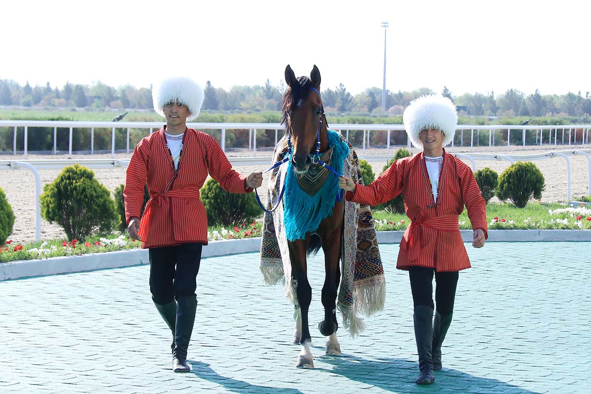 Грация и скорость: состоялись скачки ахалтекинских скакунов
