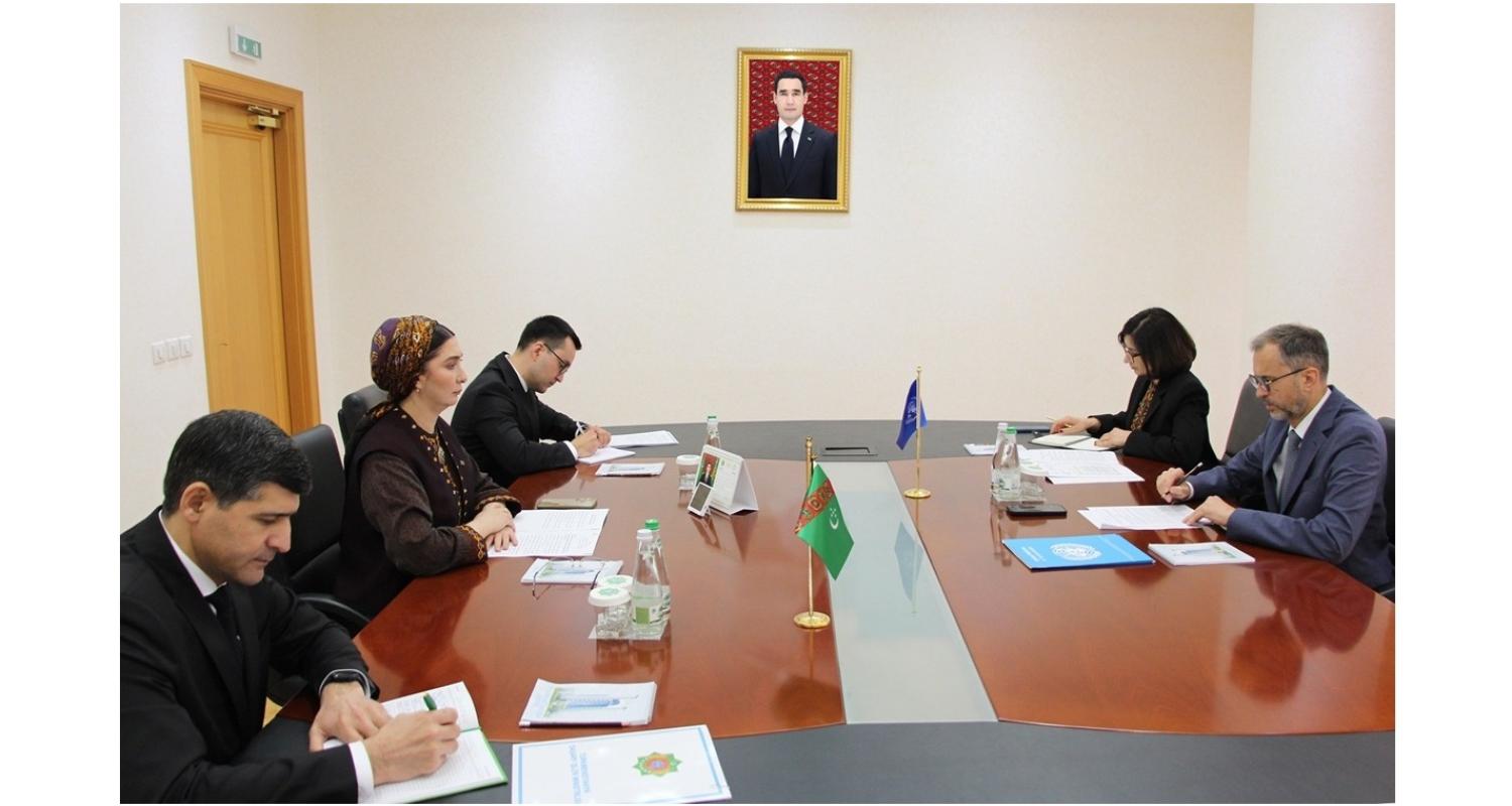 Meeting with the Head of the WHO Country Office in Ashgabat