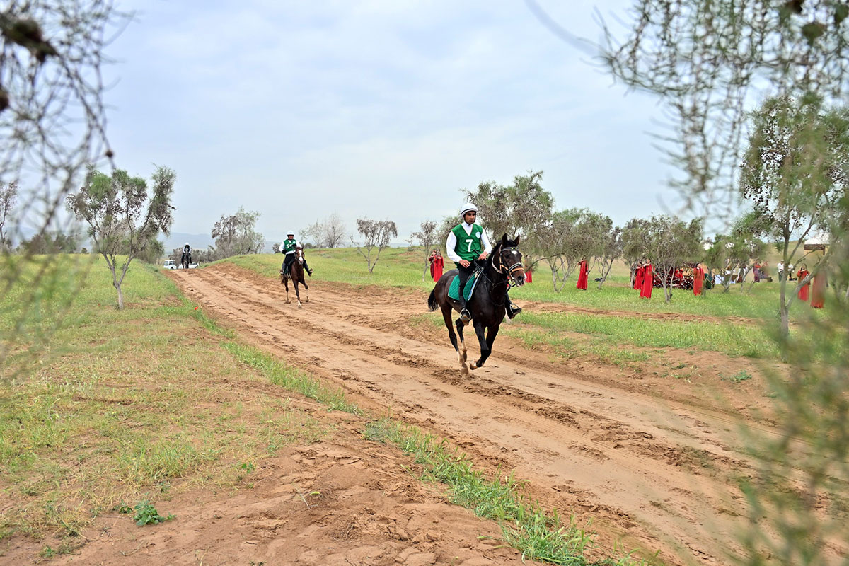 Ýurdumyzda uzak aralyga atly ýöriş bäsleşigi geçirildi