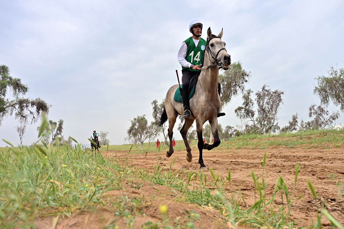 Ýurdumyzda uzak aralyga atly ýöriş bäsleşigi geçirildi
