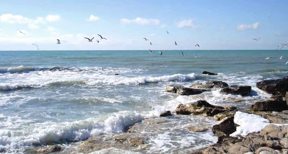 Turkmenistan announced a high-level meeting on the ecology of the Caspian sea