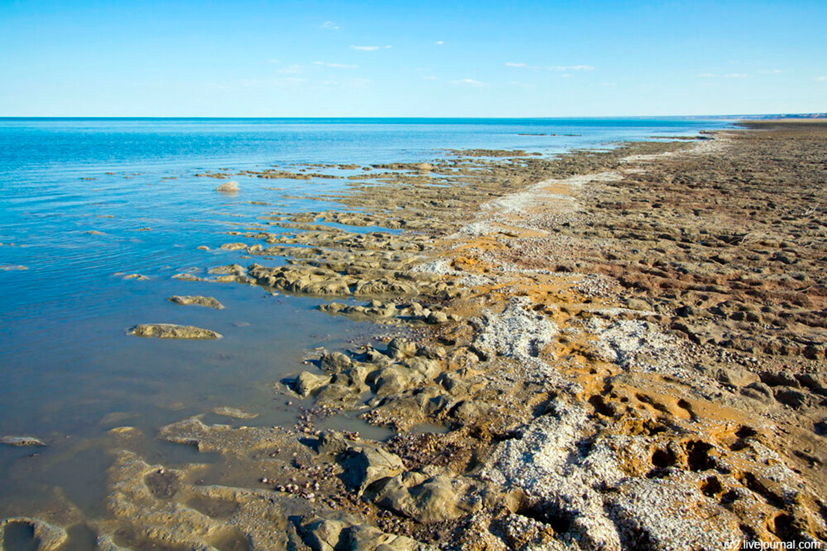 Туркменистан предложил разработать новую резолюцию ООН по Аральскому морю