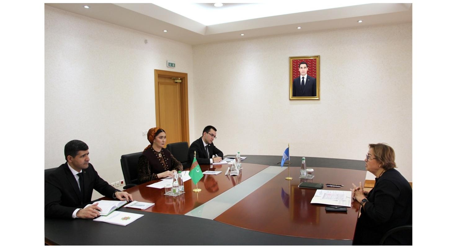 Issues of further cooperation between Turkmenistan and United Nations Development Programme discussed