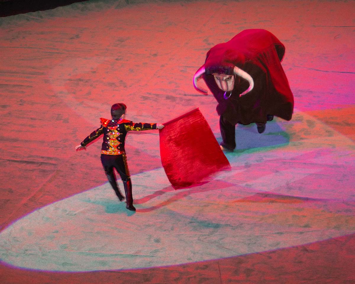 A New Circus Show – A Celebration for Fans of This Art Form