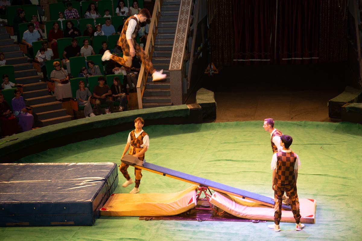 A New Circus Show – A Celebration for Fans of This Art Form