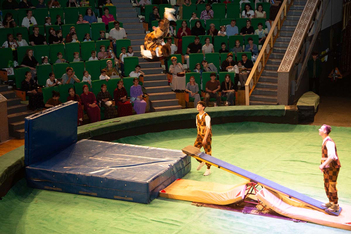 A New Circus Show – A Celebration for Fans of This Art Form