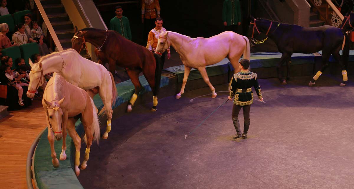 A New Circus Show – A Celebration for Fans of This Art Form