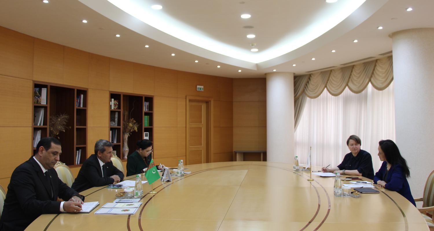 On the Meeting with the Director of the WTO Accession Division
