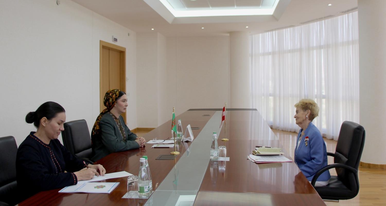 Türkmenistanyň Daşary işler ministriniň orunbasarynyň Awstriýa- Türkmen jemgyýetiniň ýolbaşçysy bilen duşuşygy geçirildi