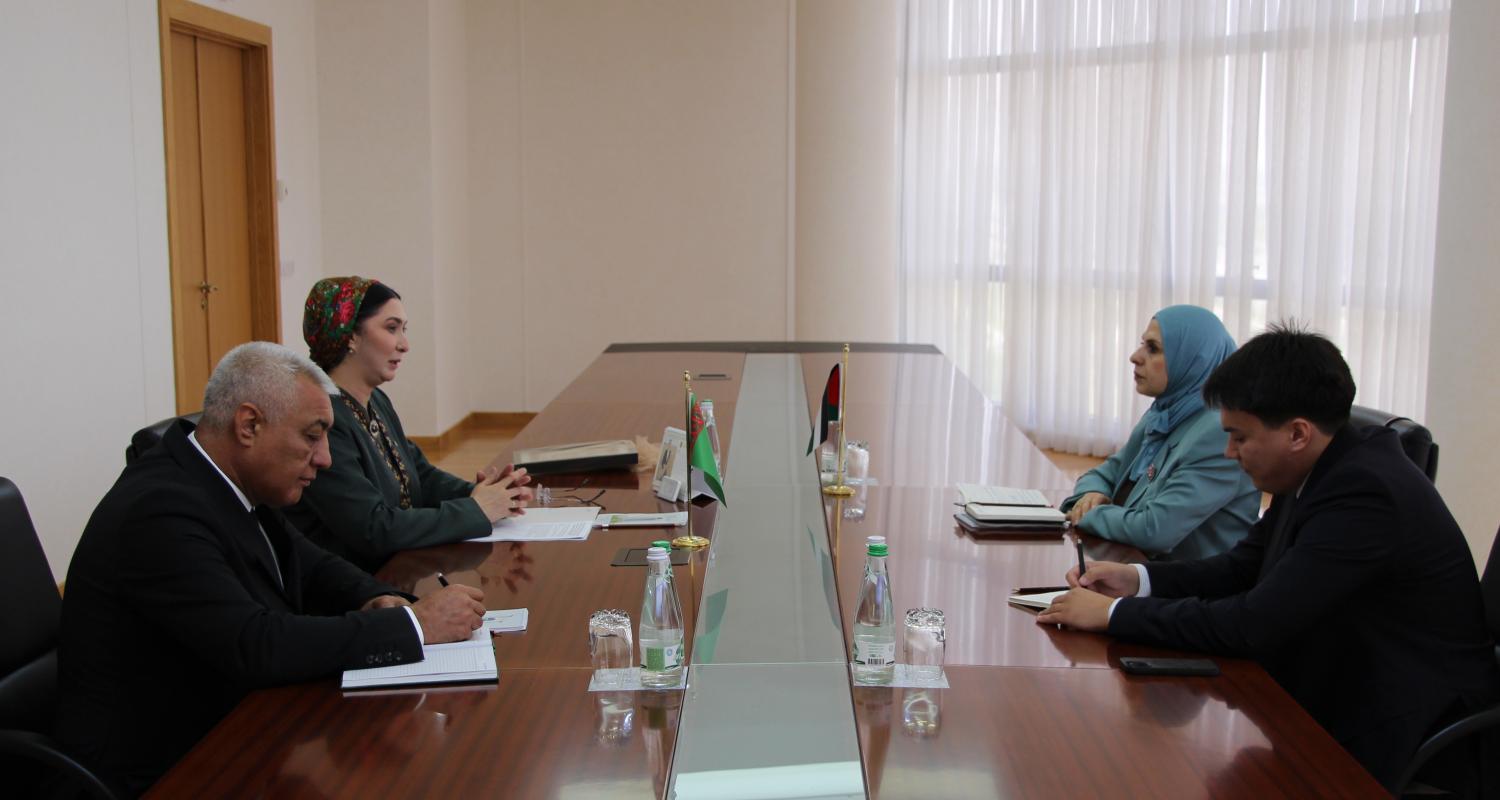 Meeting between the Deputy Minister of Foreign Affairs of Turkmenistan and the Ambassador of the State of Palestine