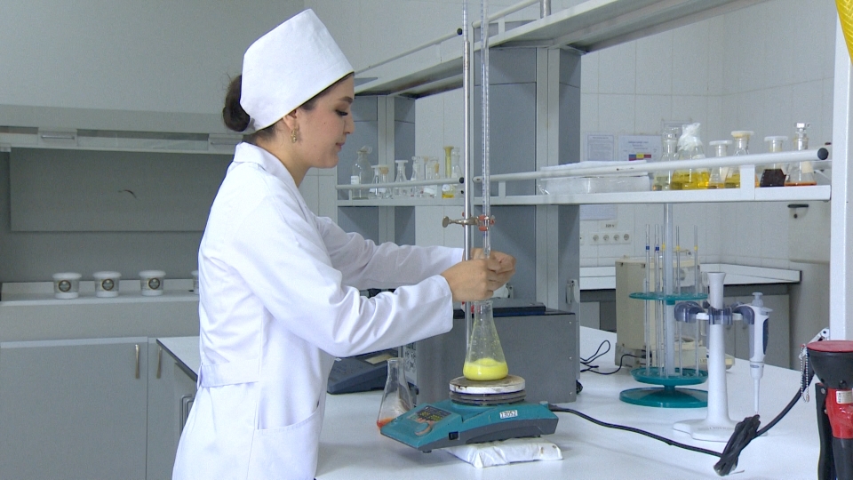 Günbatar sebitde melhem palçyklaryň, deňiz duzunyň öndürilişi artýar