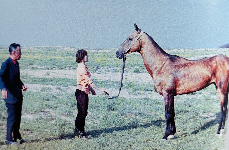 A Russian expert praised the development of Ahal-teke horse breeding in Turkmenistan