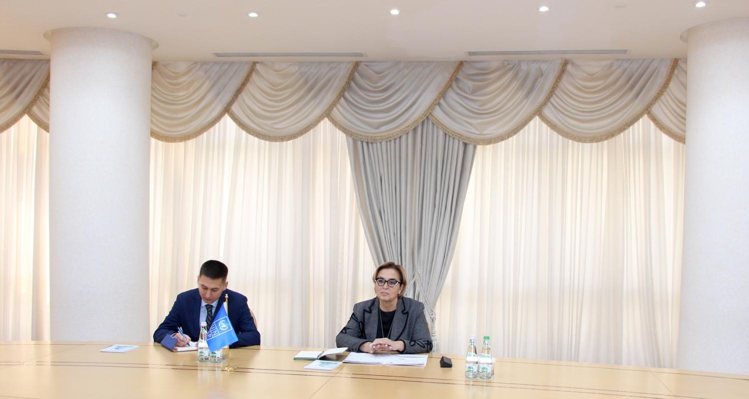 Meeting held between the Minister of Foreign Affairs of Turkmenistan and the UNDP Resident Representative in Turkmenistan