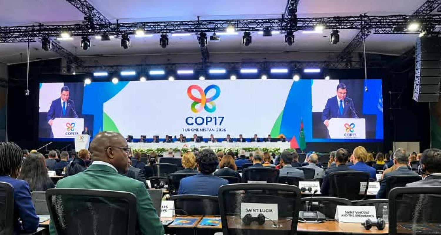 The delegation of Turkmenistan took part in the High-Level Segment of the COP-17 UN Convention on Biological Diversity