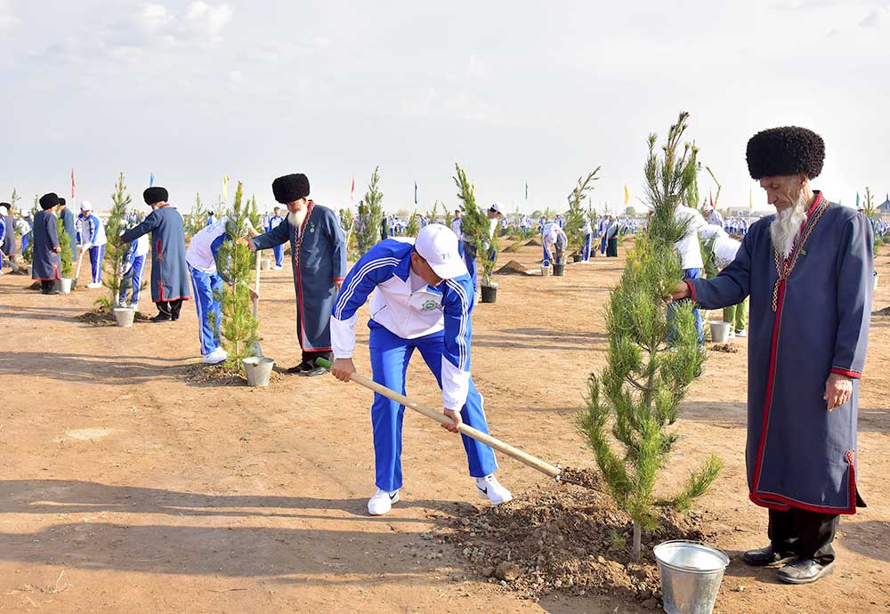 Traditions of creation: a nationwide contribution to greening the homeland