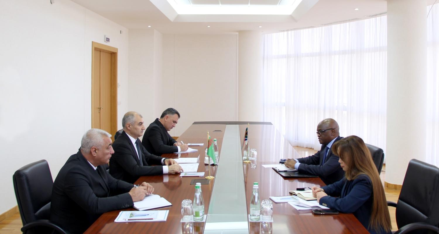 Meeting of the Deputy Minister of Foreign Affairs of Turkmenistan with the Newly Appointed Ambassador of the Republic of South Africa