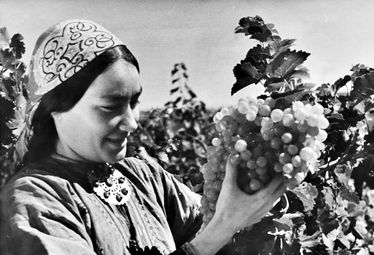 Выставка в честь Праздника урожая: история и современные достижения  