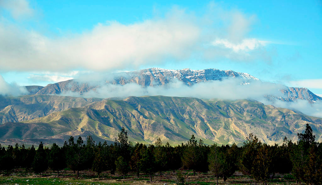 news-photo