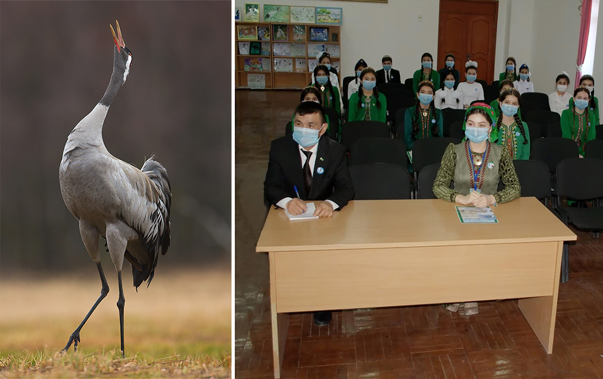 Crane Day:  A School Ecological Event