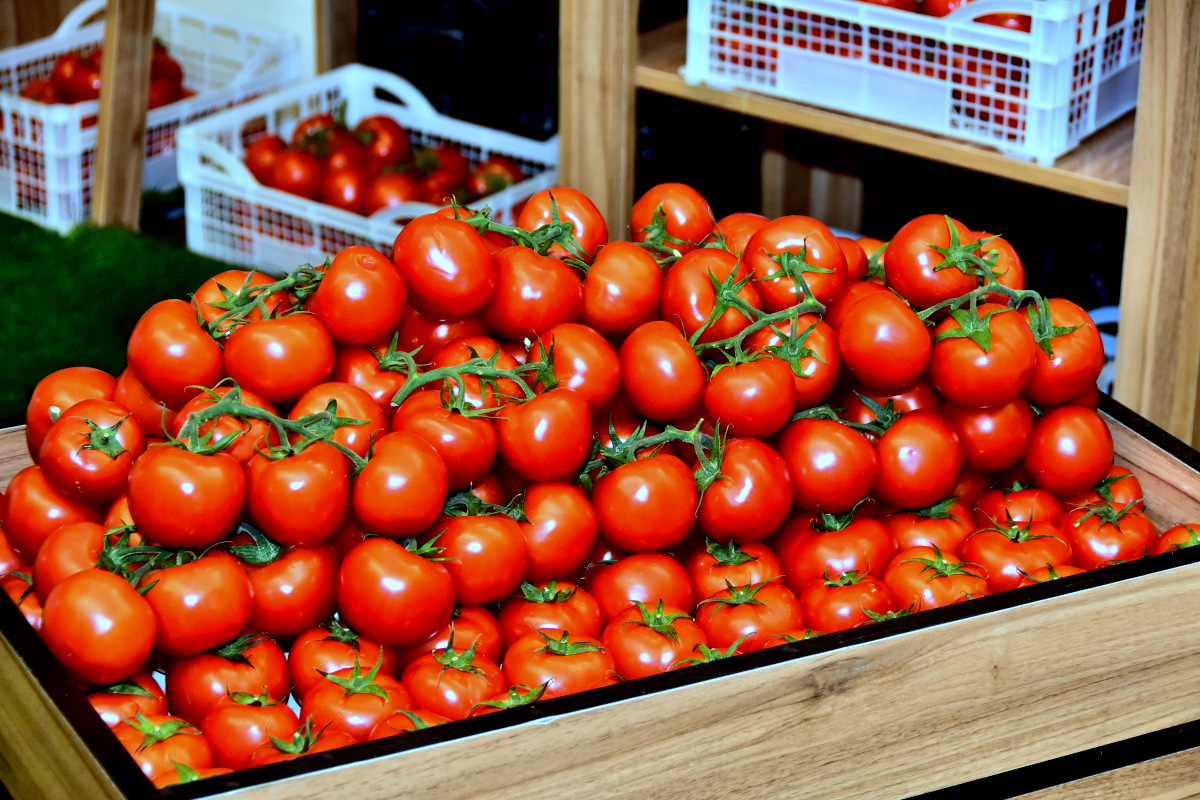 Выставка и конференция СППТ: достижения и потенциал туркменского бизнеса