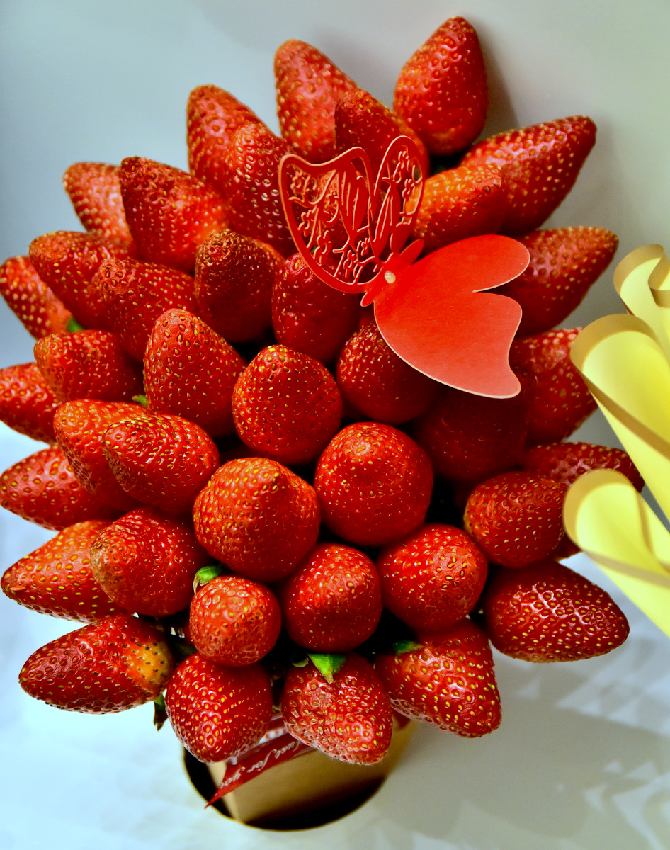 Senagatçylar we telekeçiler birleşmesiniň sergisi we maslahaty