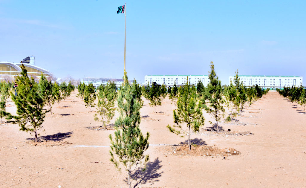 В северной части столицы создаётся новый парк