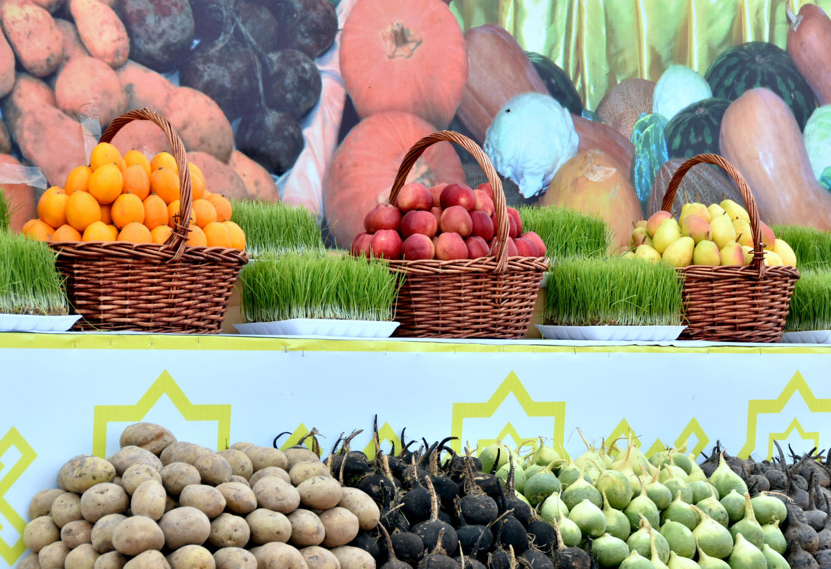 Хлопкоробы Ахалского, Балканского, Лебапского и Марыйского велаятов приступили к посевной