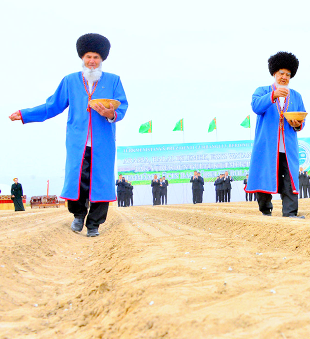 Türkmenistanda gowaça ekişine girişildi