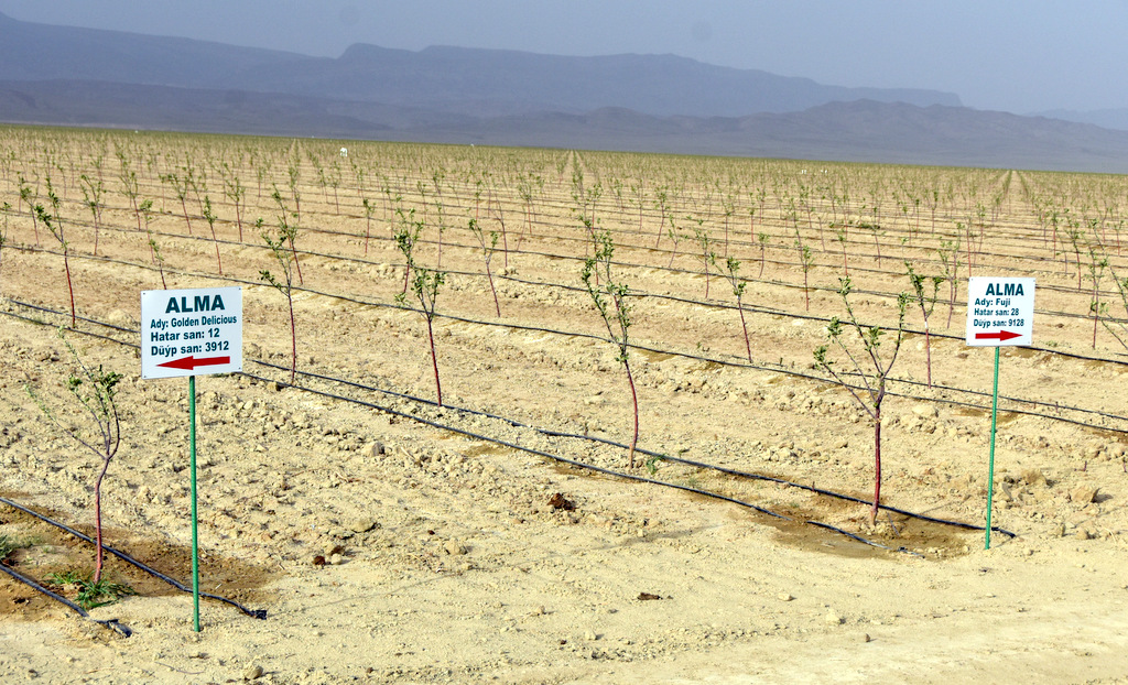 High-tech complexes added to the network of greenhouses