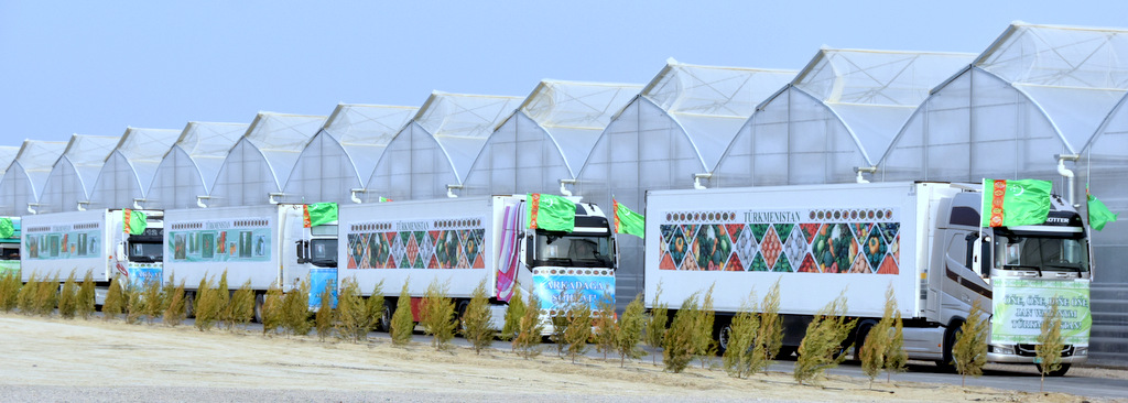 High-tech complexes added to the network of greenhouses