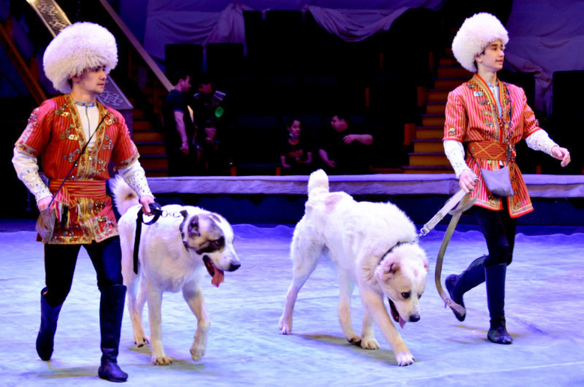 State Circus of Turkmenistan Premieres a New Show