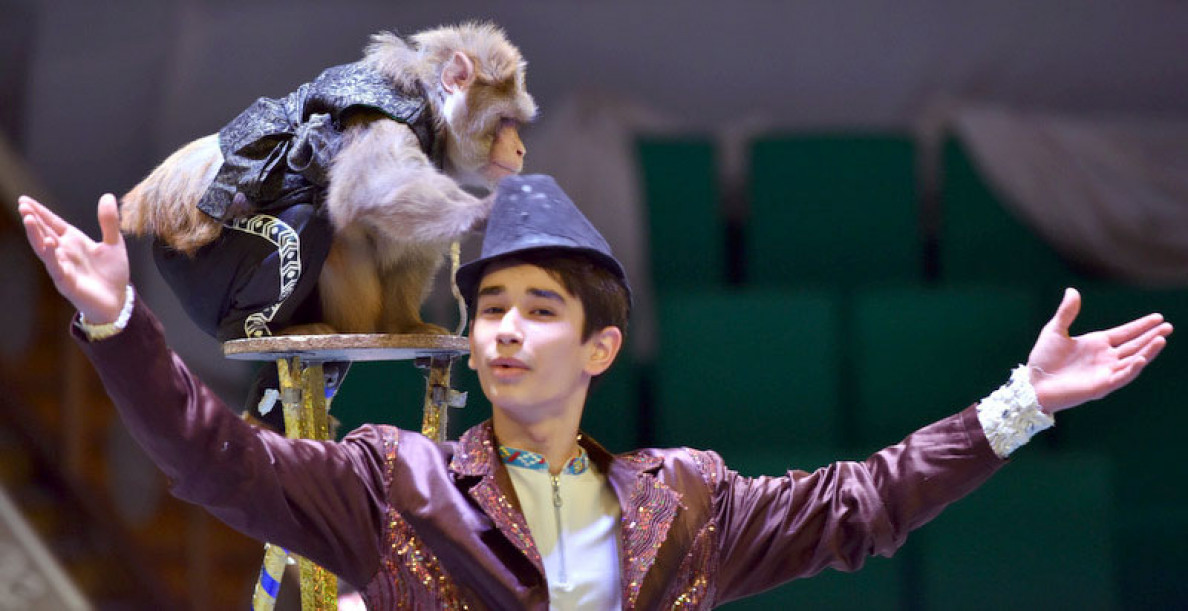 State Circus of Turkmenistan Premieres a New Show