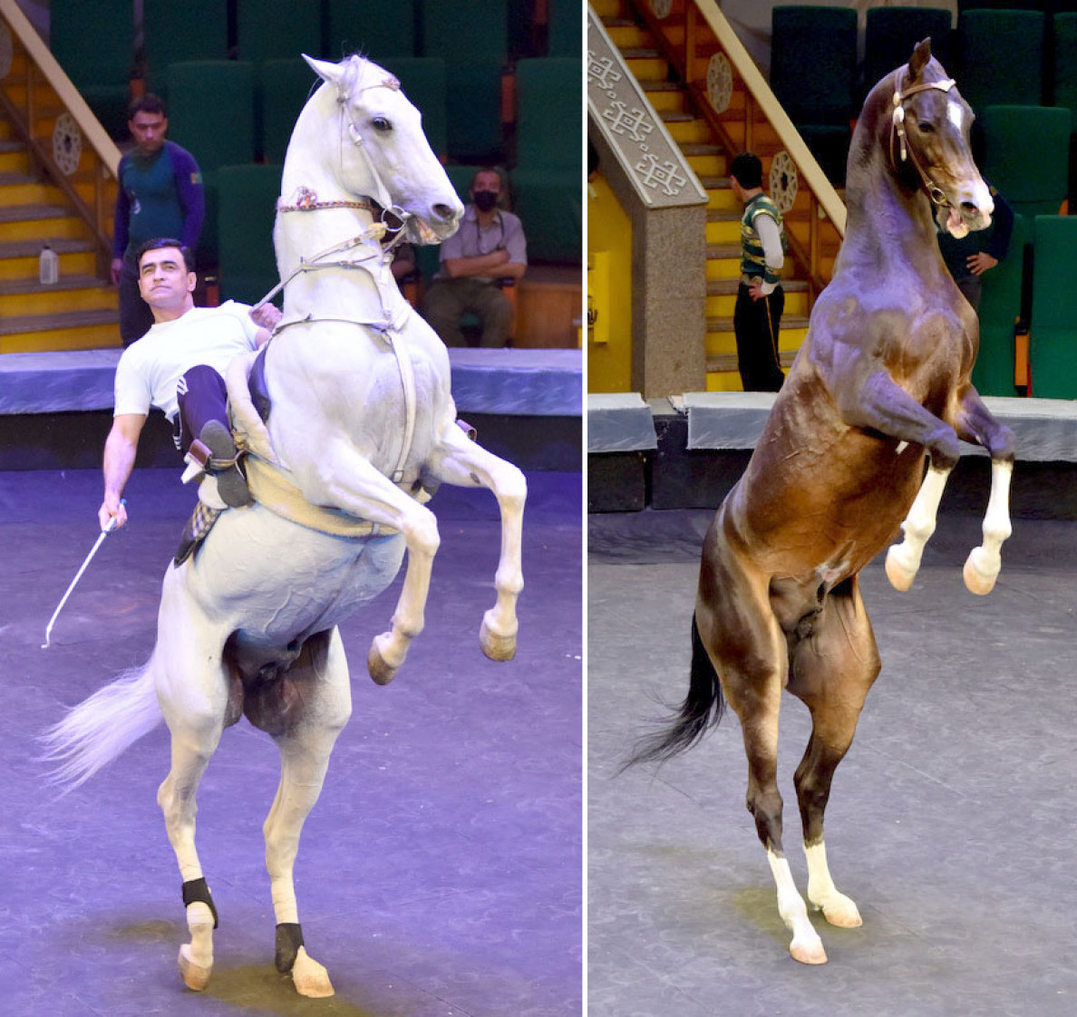 State Circus of Turkmenistan Premieres a New Show