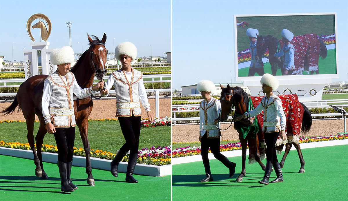 The events in Mary Region in honor Turkmen horse: races and conference
