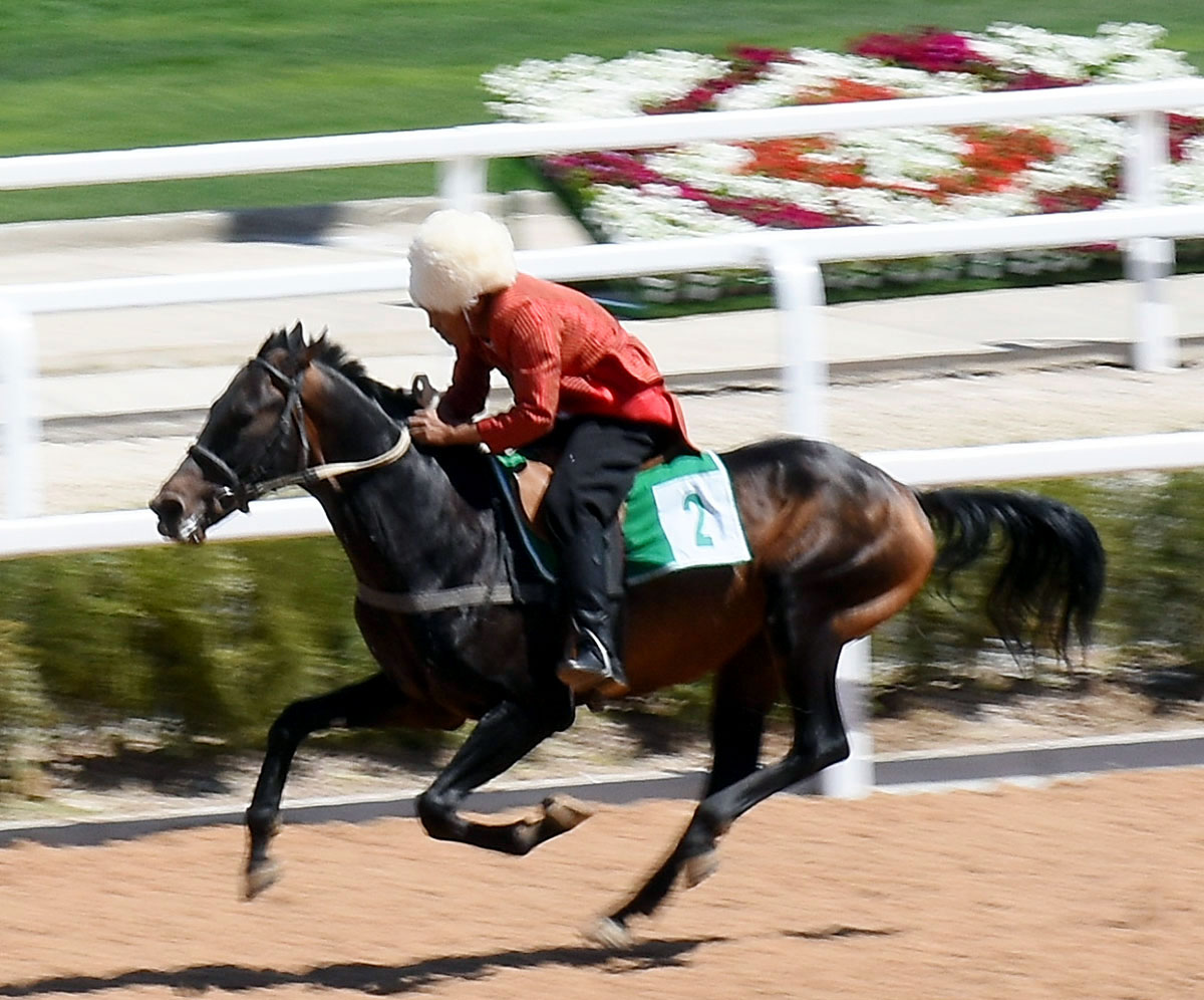 The events in Mary Region in honor Turkmen horse: races and conference