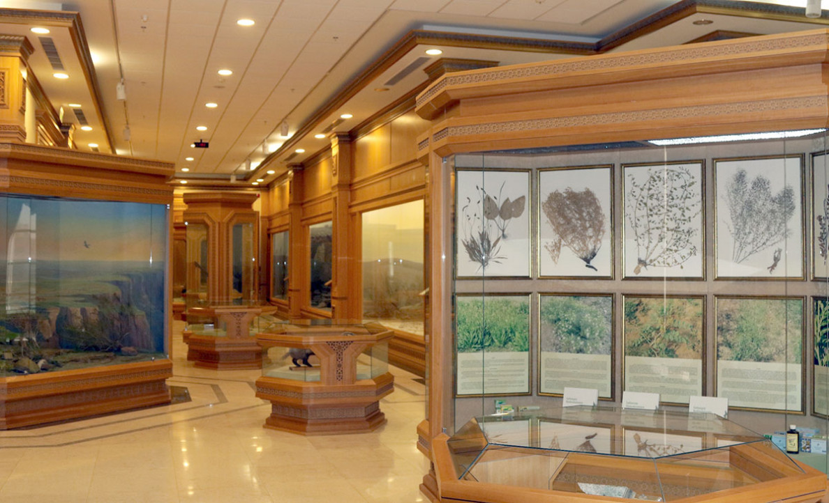 Dashoguz Velayat Local History Museum: Chapters of History, Traditions and the Present