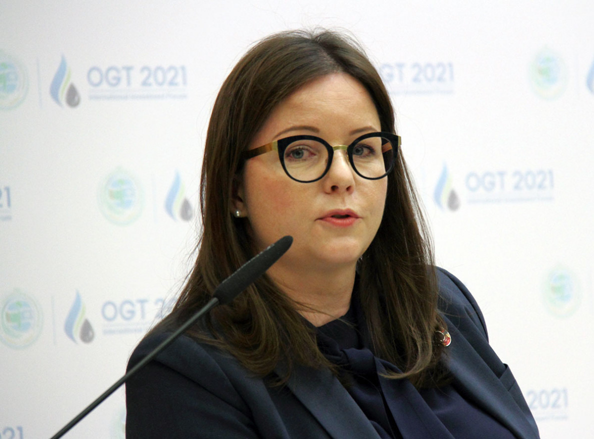 Global trends on energy markets, financing and forecasts: what was discussed at investment forum