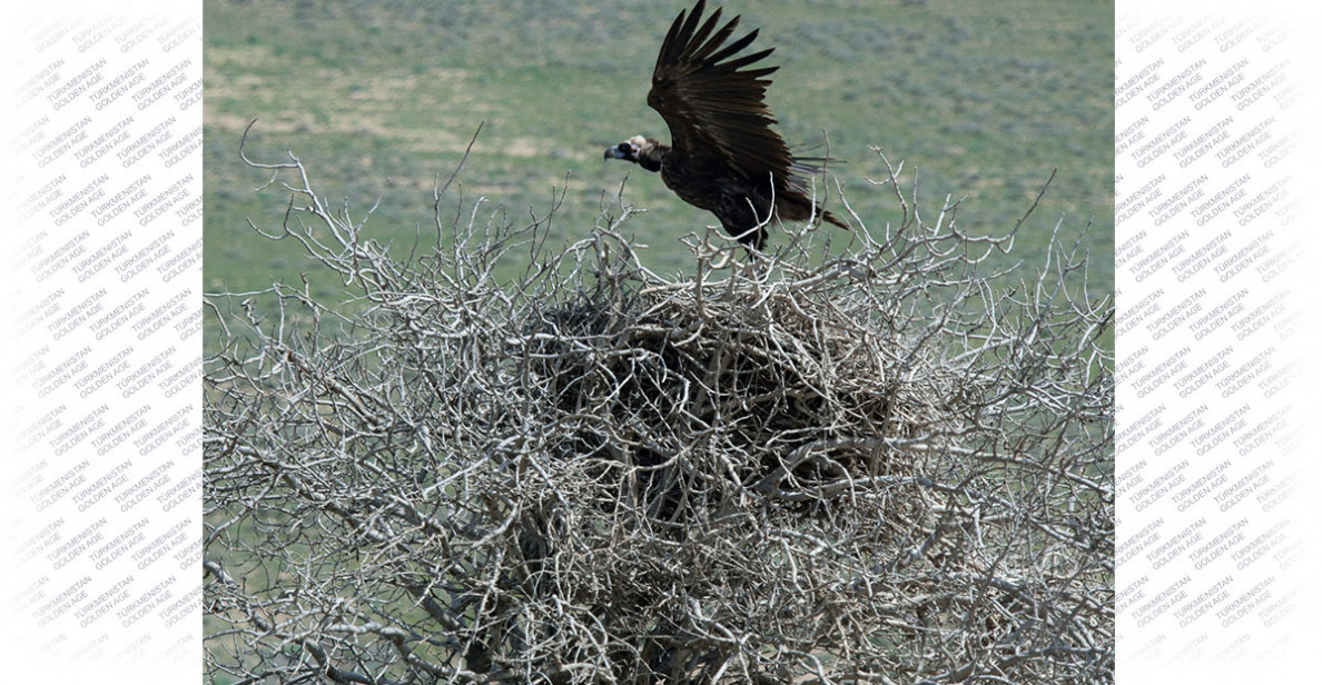 International Biological Diversity Day: Solutions for sustainable development