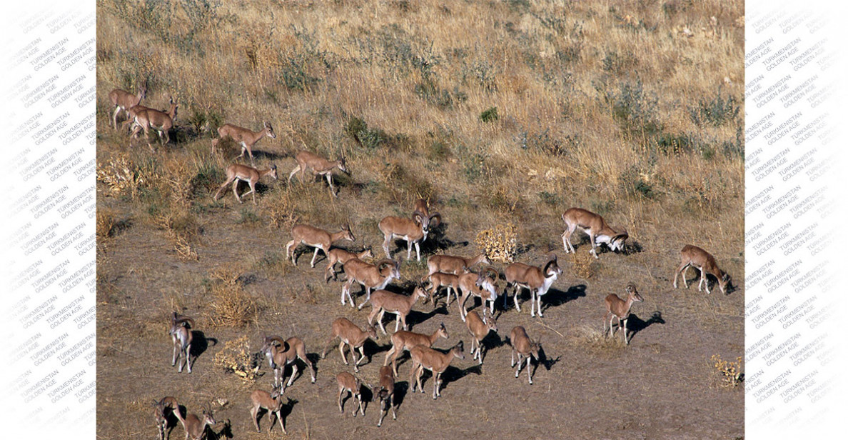 International Biological Diversity Day: Solutions for sustainable development