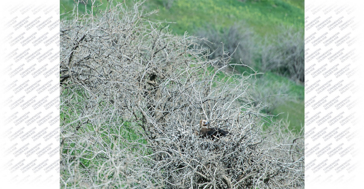 International Biological Diversity Day: Solutions for sustainable development