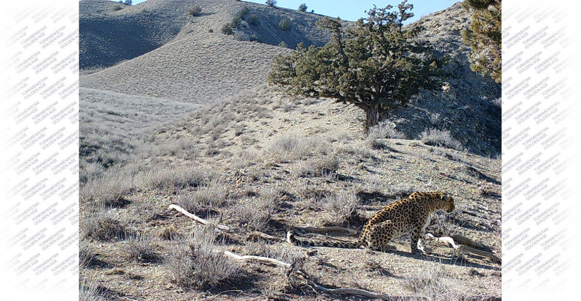 International Biological Diversity Day: Solutions for sustainable development