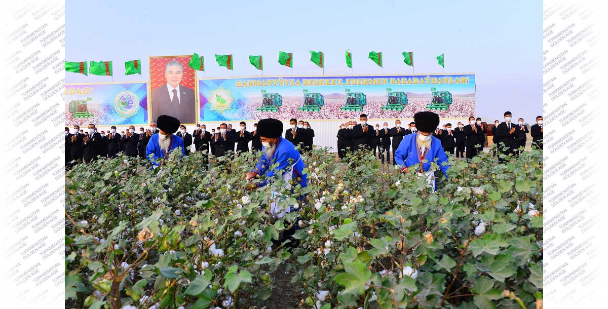 В добрый путь, караван «белого золота»!