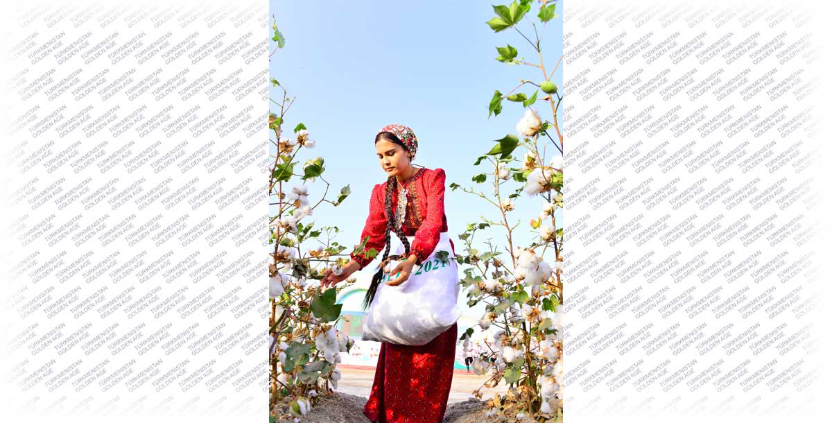 В добрый путь, караван «белого золота»!