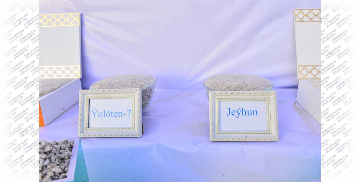 Godspeed you, caravan of «white gold»!